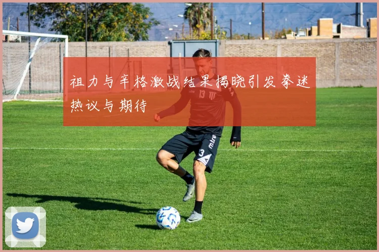 祖力与辛格激战结果揭晓引发拳迷热议与期待