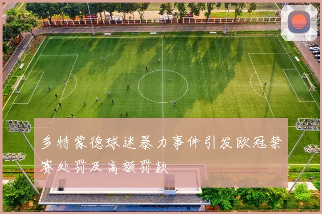 多特蒙德球迷暴力事件引发欧冠禁赛处罚及高额罚款